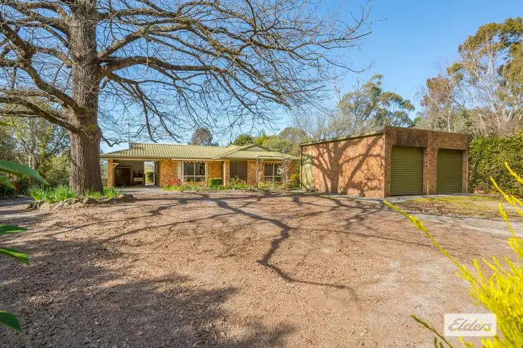 Sixth view of Homely house listing, 19 Myrtleford Yackandandah Road, Yackandandah VIC 3749