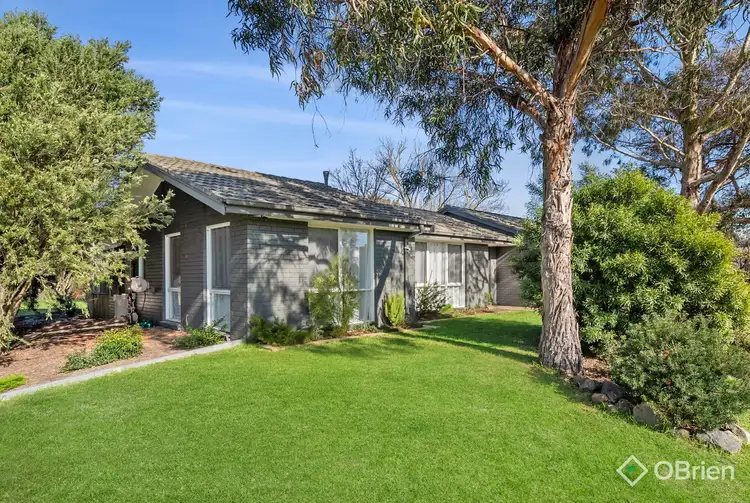 Main view of Homely house listing, 36 Deborah Drive, Baxter VIC 3911