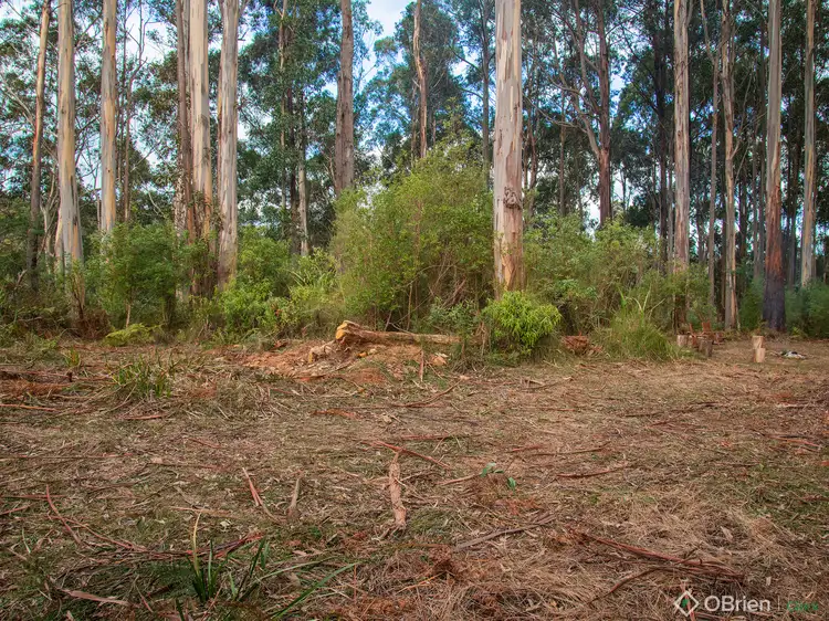 Third view of Homely land listing, LOT 1 Mount Baw Baw Tourist Road, Icy Creek VIC 3833