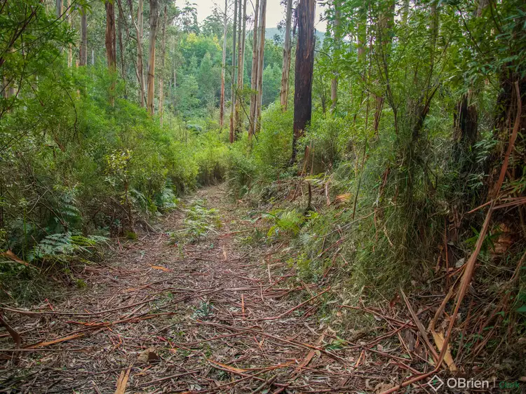 Fifth view of Homely land listing, LOT 1 Mount Baw Baw Tourist Road, Icy Creek VIC 3833