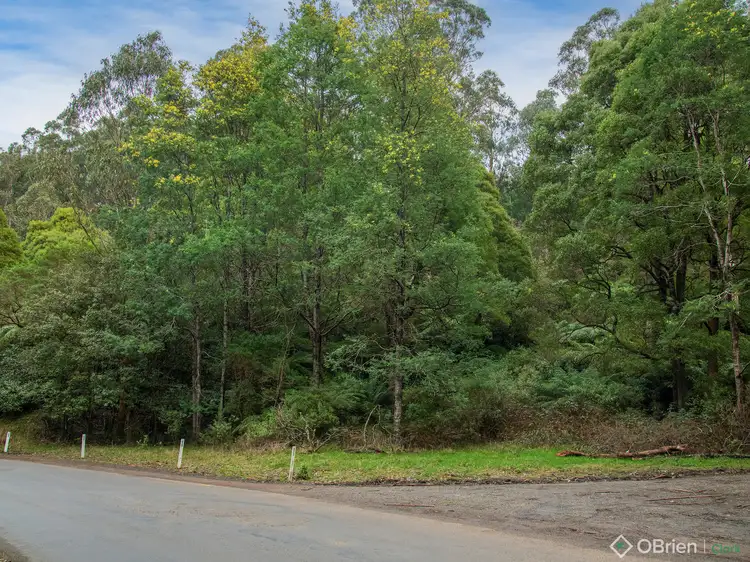 Sixth view of Homely land listing, LOT 1 Mount Baw Baw Tourist Road, Icy Creek VIC 3833
