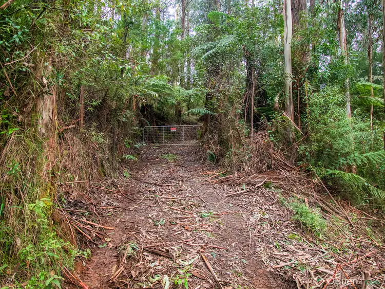 Seventh view of Homely land listing, LOT 1 Mount Baw Baw Tourist Road, Icy Creek VIC 3833
