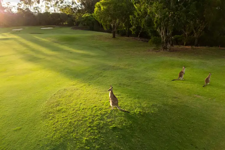Fifth view of Homely land listing, 9203 Peter Senior Drive, Hope Island QLD 4212