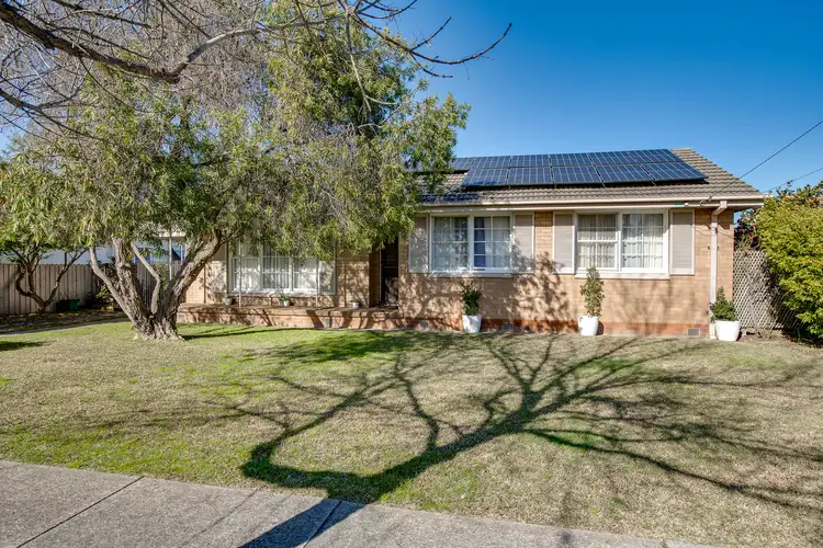 Main view of Homely house listing, 541 Sanders Road, Lavington NSW 2641