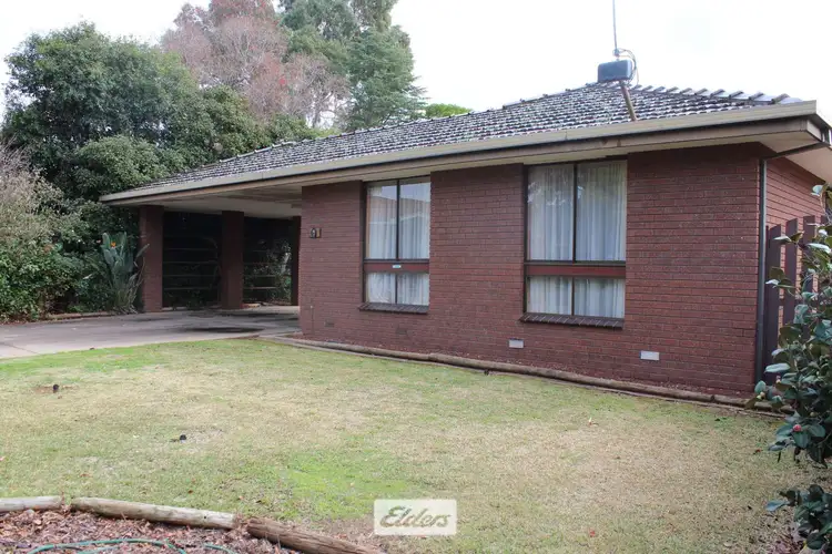 Second view of Homely house listing, 13 River Grove, Robinvale VIC 3549