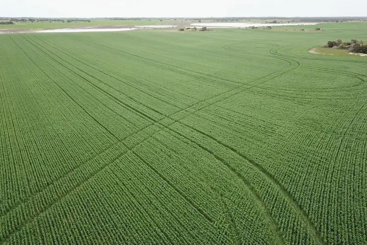 Second view of Homely rural property listing, Address available on request