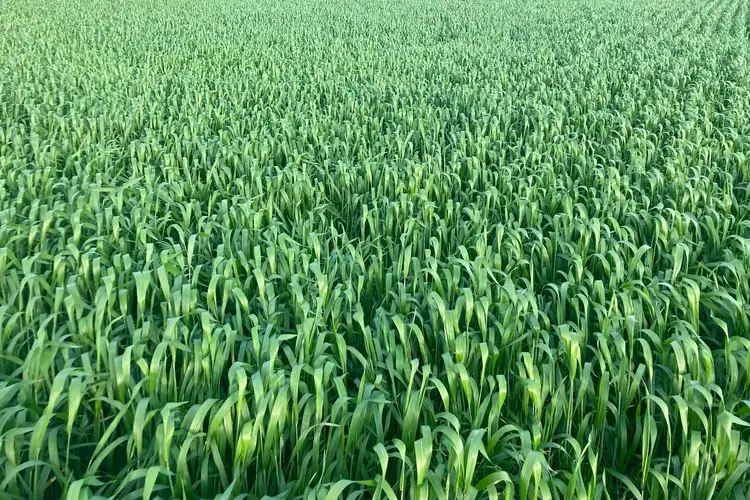 Third view of Homely rural property listing, Address available on request