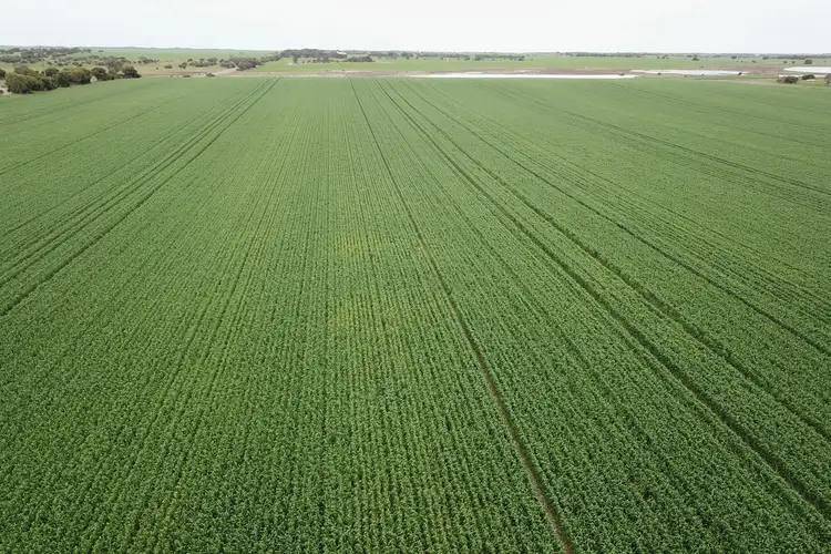 Fourth view of Homely rural property listing, Address available on request