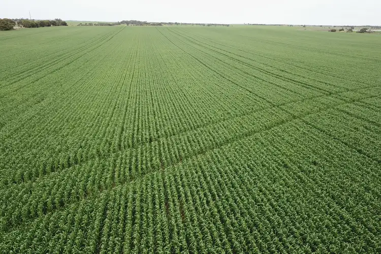 Seventh view of Homely rural property listing, Address available on request