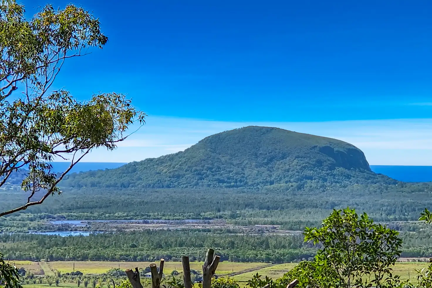 Main view of Homely house listing, 11 Mount Coolum Close, Maroochy River QLD 4561