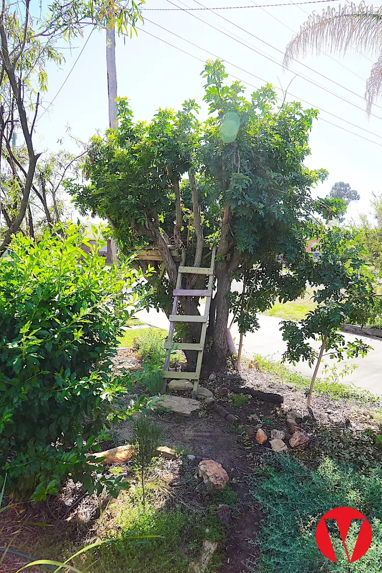 Sixth view of Homely house listing, 10 Alexander Avenue, Roma QLD 4455