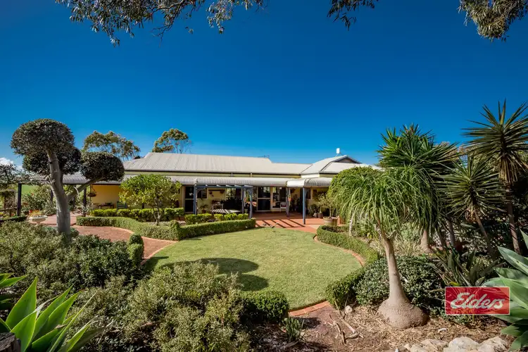 Main view of Homely house listing, 99 Scott Road, Rudds Gully WA 6532