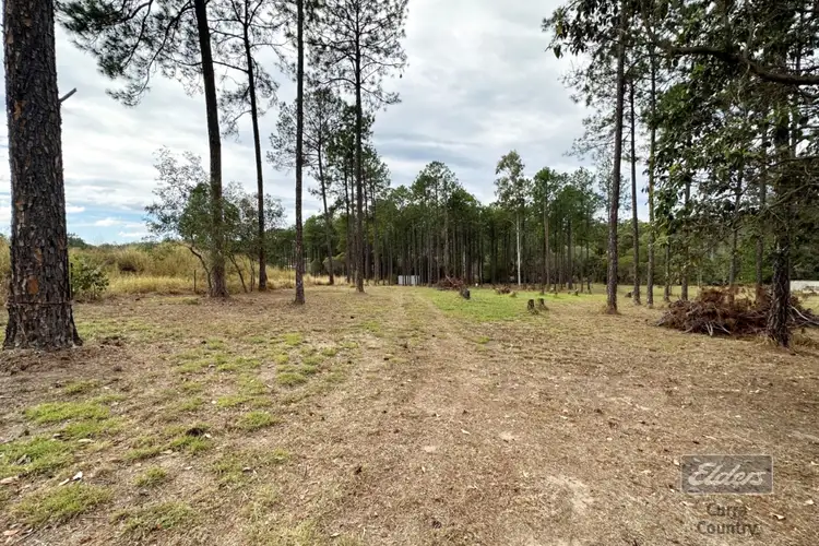 Main view of Homely land listing, LOT 195 James Road, Glenwood QLD 4570