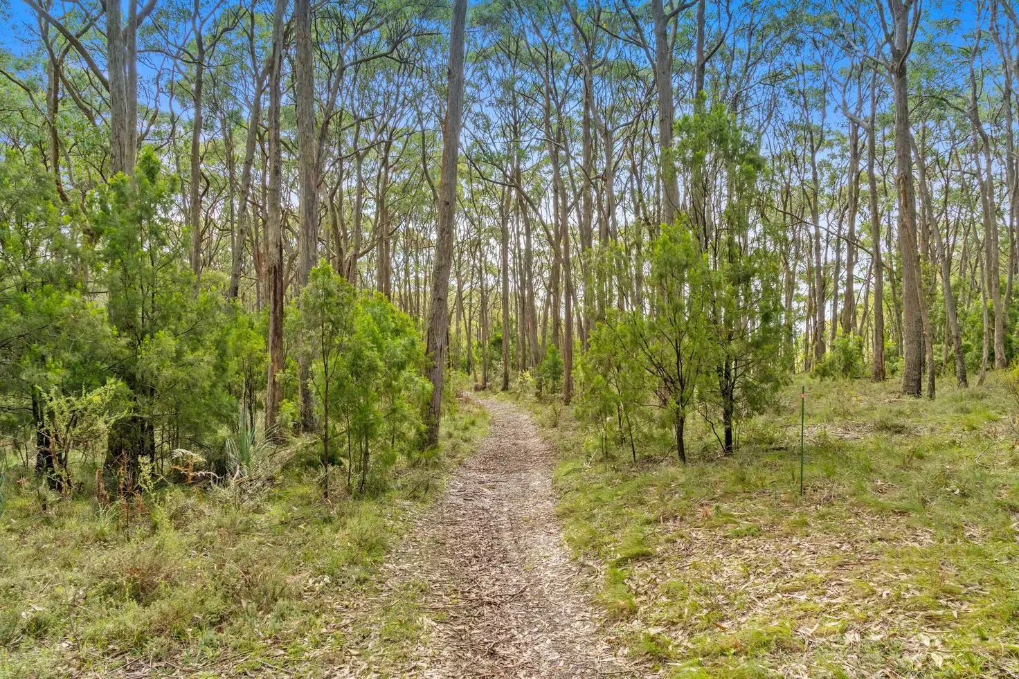 Main view of Homely land listing, 10 Piccadilly Crescent, Piccadilly SA 5151