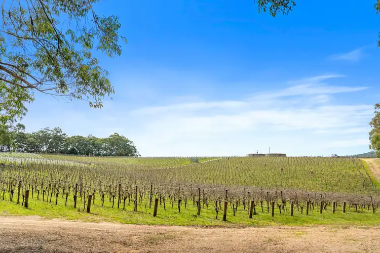 Fourth view of Homely land listing, 10 Piccadilly Crescent, Piccadilly SA 5151