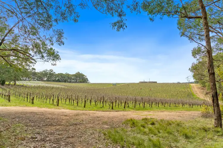 Fifth view of Homely land listing, 10 Piccadilly Crescent, Piccadilly SA 5151