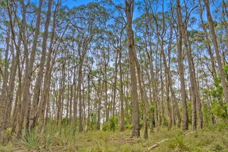 Sixth view of Homely land listing, 10 Piccadilly Crescent, Piccadilly SA 5151