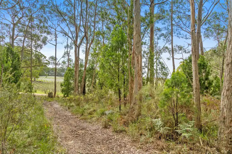 Seventh view of Homely land listing, 10 Piccadilly Crescent, Piccadilly SA 5151