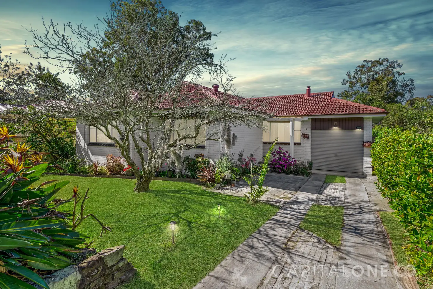 Main view of Homely house listing, 17 Northcott Avenue, Watanobbi NSW 2259