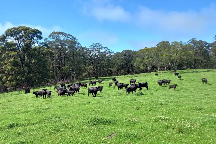 Main view of Homely rural property listing, 51 Bald Hills Road, Hernani NSW 2453