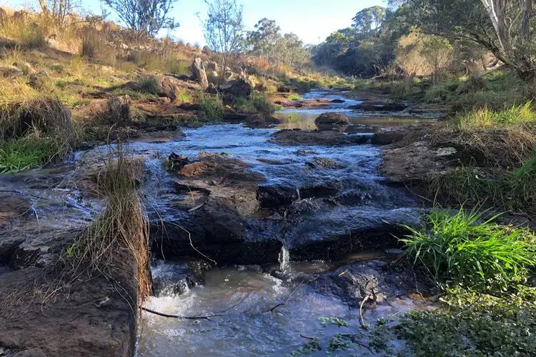 Third view of Homely rural property listing, 51 Bald Hills Road, Hernani NSW 2453