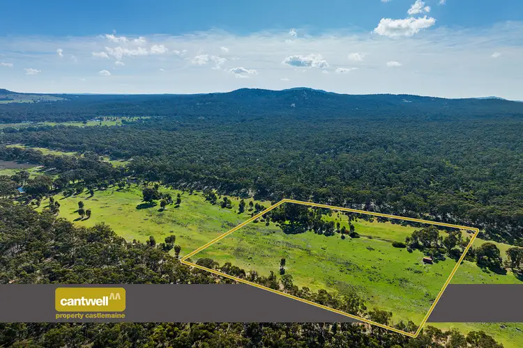 CA7 Sec 1 Inglewood-Rheola Road, Rheola VIC 3517
