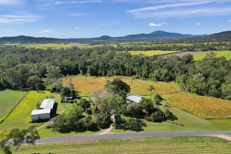 403 Pinnacle-Septimus Road, Pinnacle QLD 4741