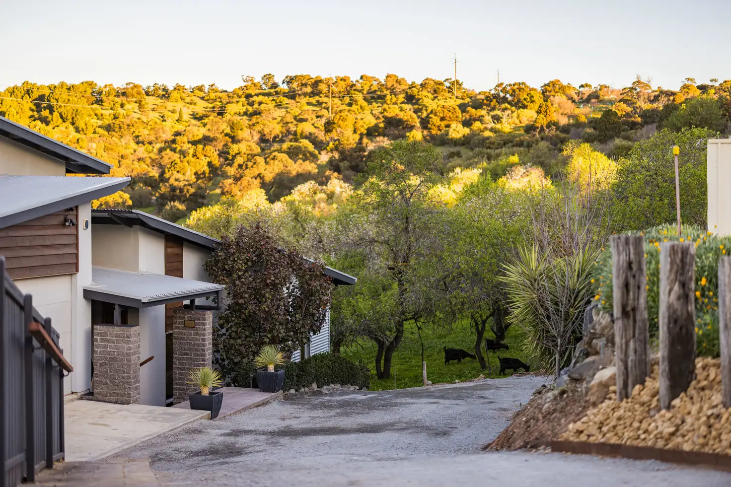 Main view of Homely house listing, 72 Gully Road, Seacliff Park SA 5049