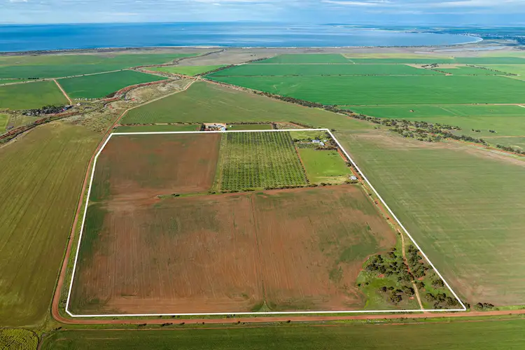 Second view of Homely rural property listing, 114 Burrawing Creek Road, Lipson SA 5607