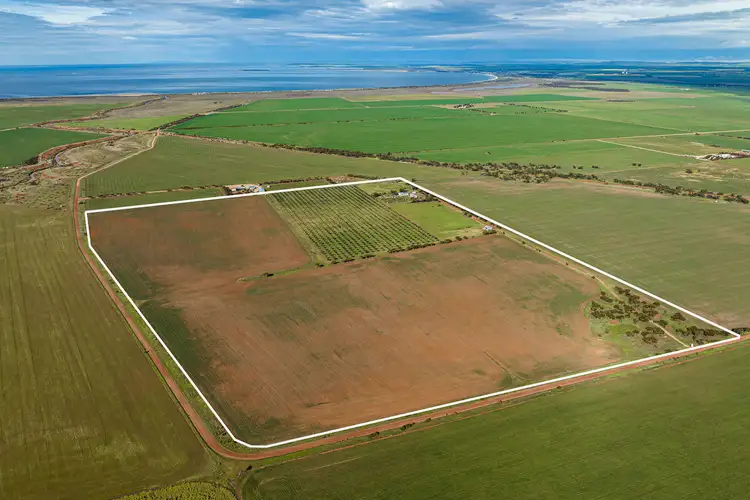 Third view of Homely rural property listing, 114 Burrawing Creek Road, Lipson SA 5607