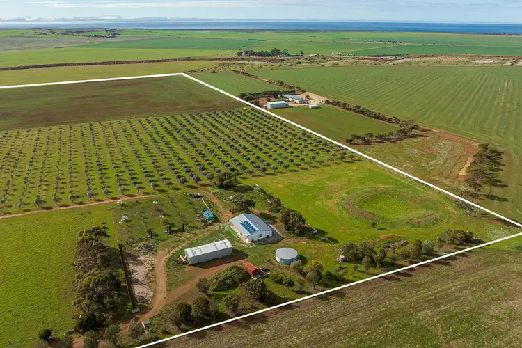 Sixth view of Homely rural property listing, 114 Burrawing Creek Road, Lipson SA 5607