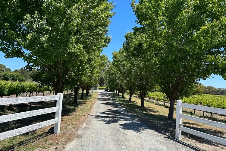 Second view of Homely rural property listing, 9491 Horrocks Highway, Stanley Flat SA 5453