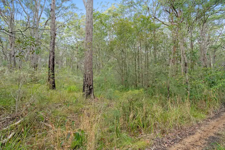 Fourth view of Homely land listing, LOT 1166 Aberdeen Street, North Arm Cove NSW 2324