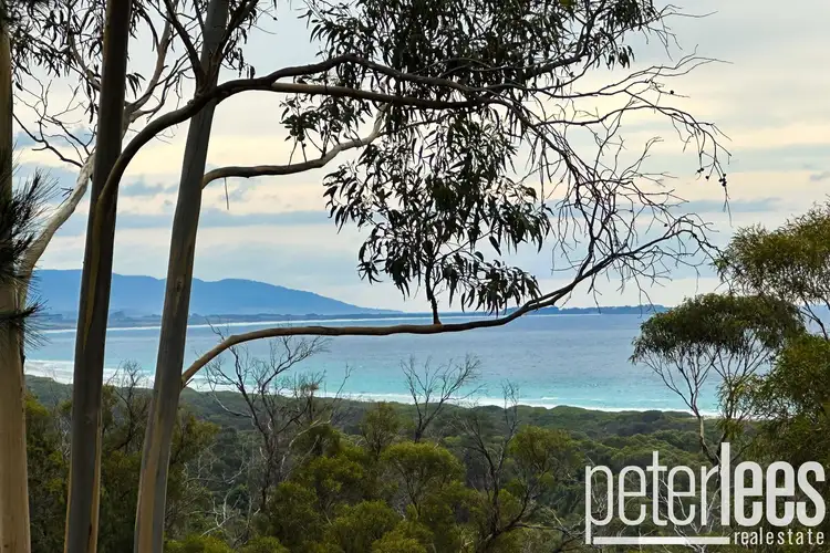 19 Rosedale Road, Bicheno TAS 7215