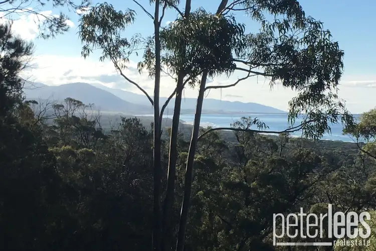 Fourth view of Homely land listing, 19 Rosedale Road, Bicheno TAS 7215