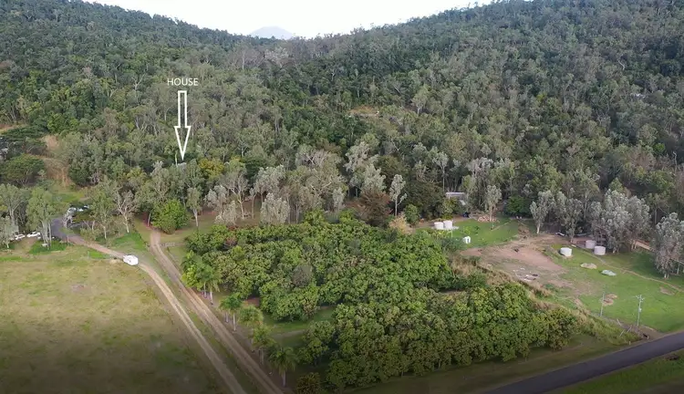 Third view of Homely house listing, 100 Patullo Road, Gregory River QLD 4800