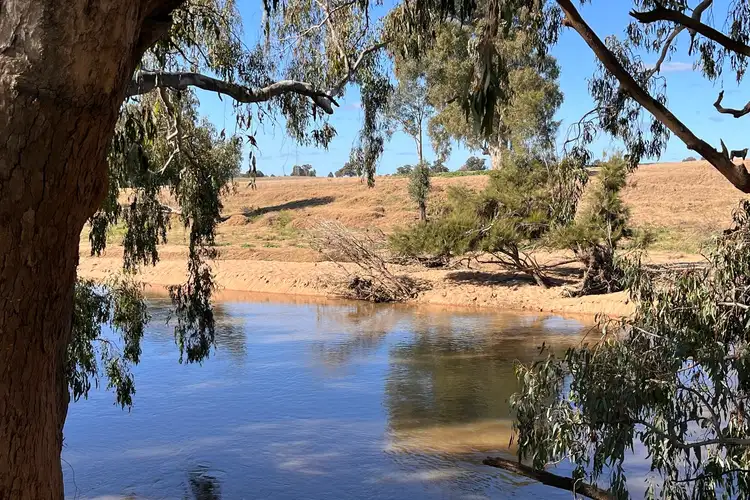 Fifth view of Homely rural property listing, Lot 108 Lachlan Valley Way, Cowra NSW 2794