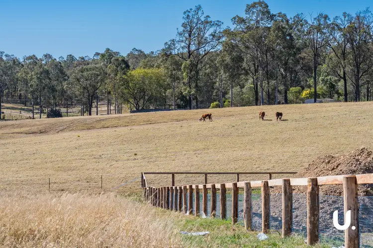 Fifth view of Homely land listing, LOT 506, 12 Pistacia Grove, Branxton NSW 2335