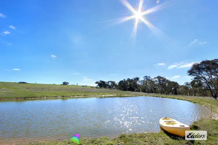 Fourth view of Homely rural property listing, 477 Bendigo-Sutton Grange Road, Elphinstone VIC 3448