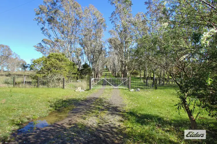Seventh view of Homely rural property listing, 477 Bendigo-Sutton Grange Road, Elphinstone VIC 3448