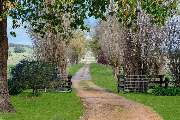 Second view of Homely rural property listing, 99 Liddles Lane, Drik Drik VIC 3304