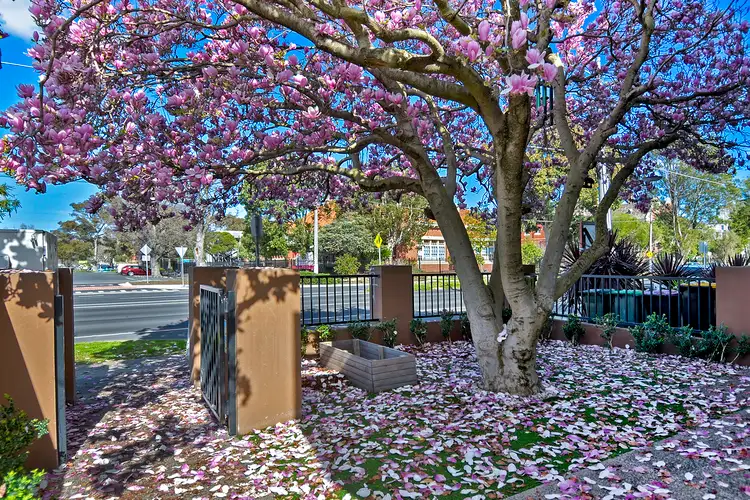 Second view of Homely townhouse listing, 7/57 Brunswick Road, Brunswick East VIC 3057