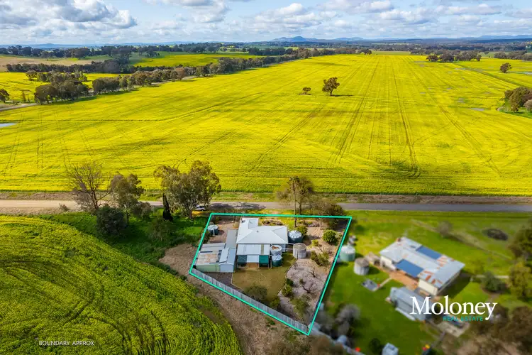 Main view of Homely house listing, 15 Stillards Lane, Rutherglen VIC 3685