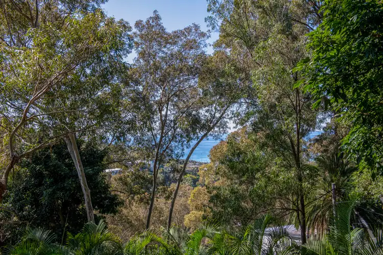 Sixth view of Homely house listing, 52 Grandview Drive, Newport NSW 2106