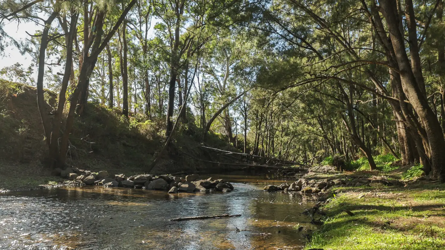 Main view of Homely rural property listing, 1675 Castlereagh Highway, Mudgee NSW 2850