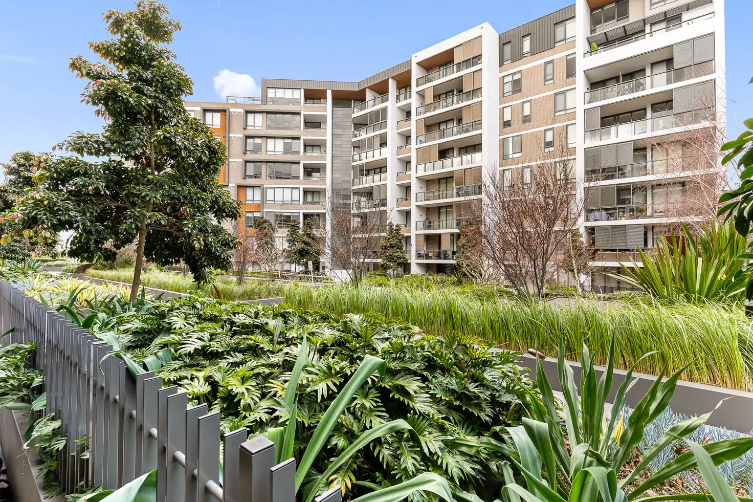 Main view of Homely apartment listing, 101W/3 Lardelli Drive, Ryde NSW 2112