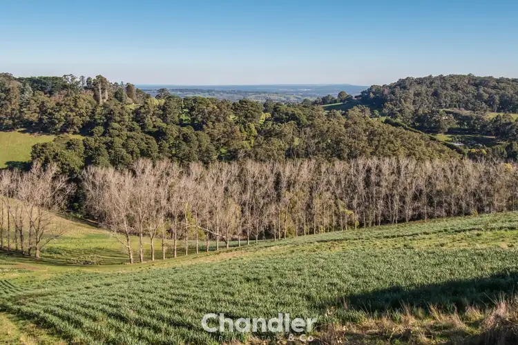 Fourth view of Homely house listing, 28 Grantulla Road, Selby VIC 3159