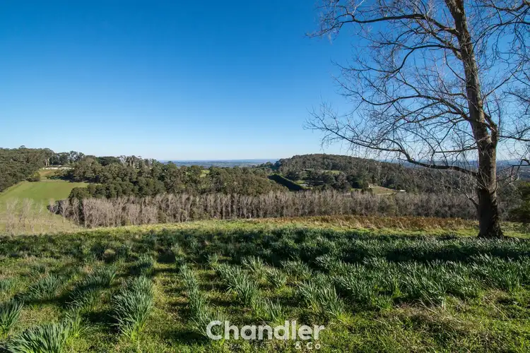 Fifth view of Homely house listing, 28 Grantulla Road, Selby VIC 3159