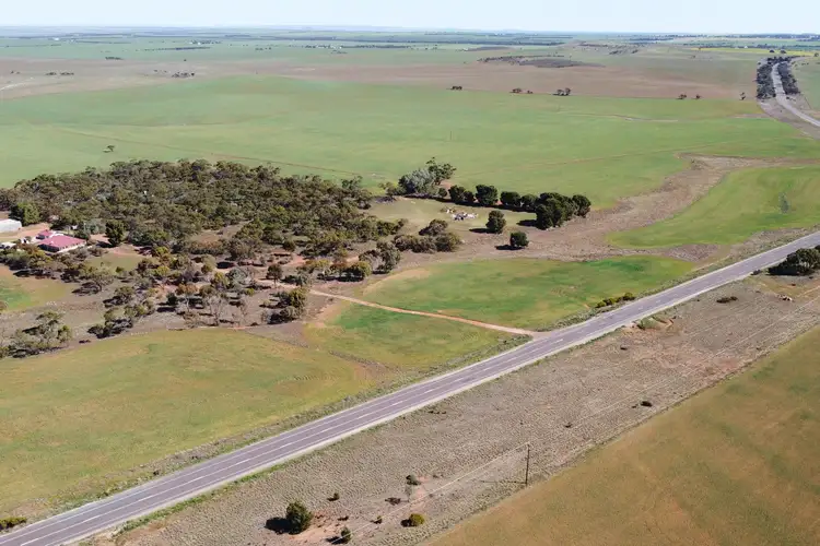 Second view of Homely rural property listing, 2815 Birdseye Highway, Cleve SA 5640