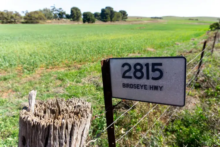Third view of Homely rural property listing, 2815 Birdseye Highway, Cleve SA 5640